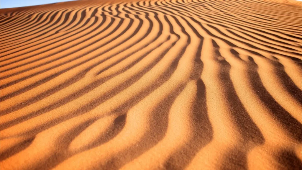 Al Khatim desert camp location, east of Abu Dhabi on the E22